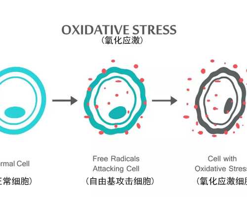 2026兰大一院精子库申请攻略，供精排队时间及费用参考