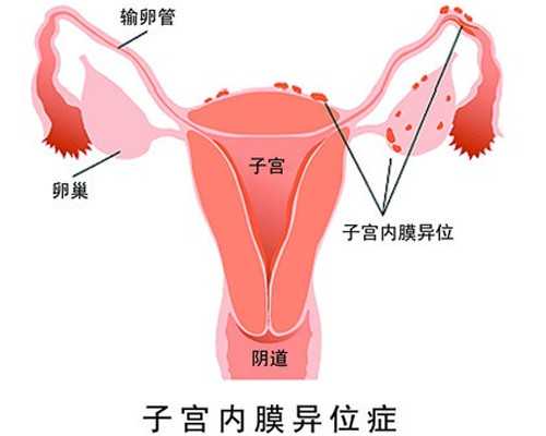 北京代生价钱,北京做试管婴儿费用试管婴儿具体流程有哪些