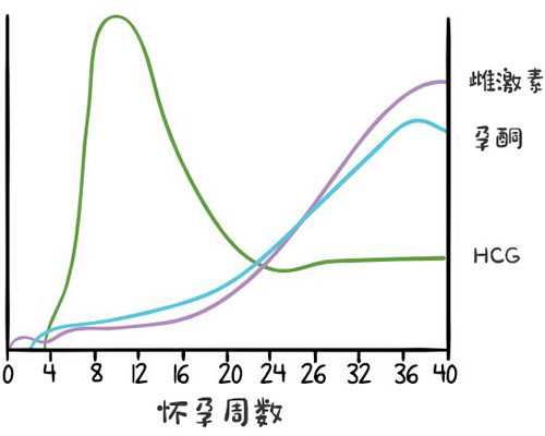 武汉试管婴儿专家有哪些？，代怀代生孩子