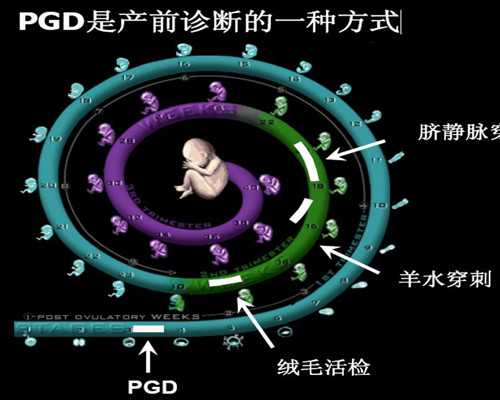 2026萍乡试管婴儿医院排名，助孕成功率高的机构参考