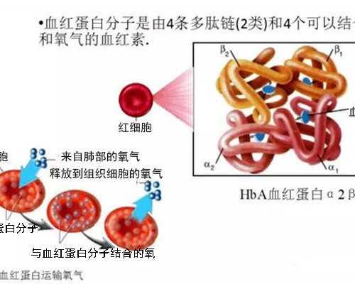 北京哪可以代生,北京试管婴儿流程是怎样的包含哪些步骤