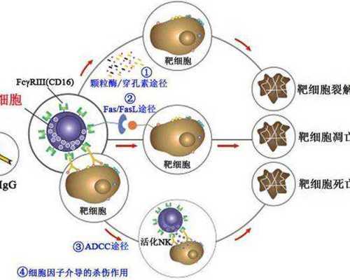 不射精不育：拉拉同志群体的生育困境与三代试管解决方案